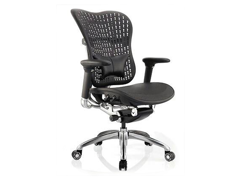Mesh Back Ergonomic Executive Swivel Chair